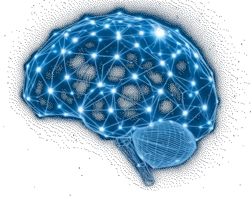 THAKAA Brain