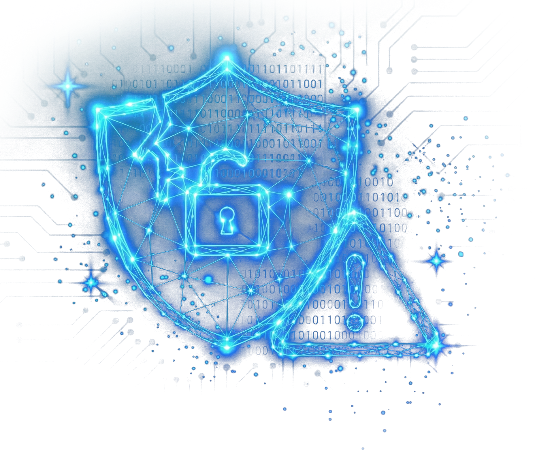 Data Security Hologram